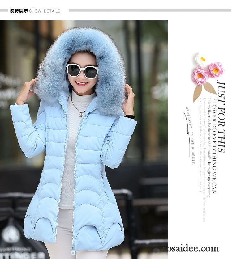 Daunenjacke Damen Warm Schlank Überzieher Großer Pelzkragen Dünn Langer Abschnitt Luxuriös Verdickung Winter Heißer Art Damen Baumwolle Billig