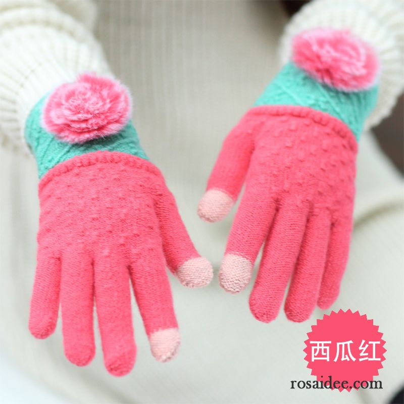 Handschuhe Damen Dicke Warm Halten Touchscreen Stricken Student Winter Purpur Lila