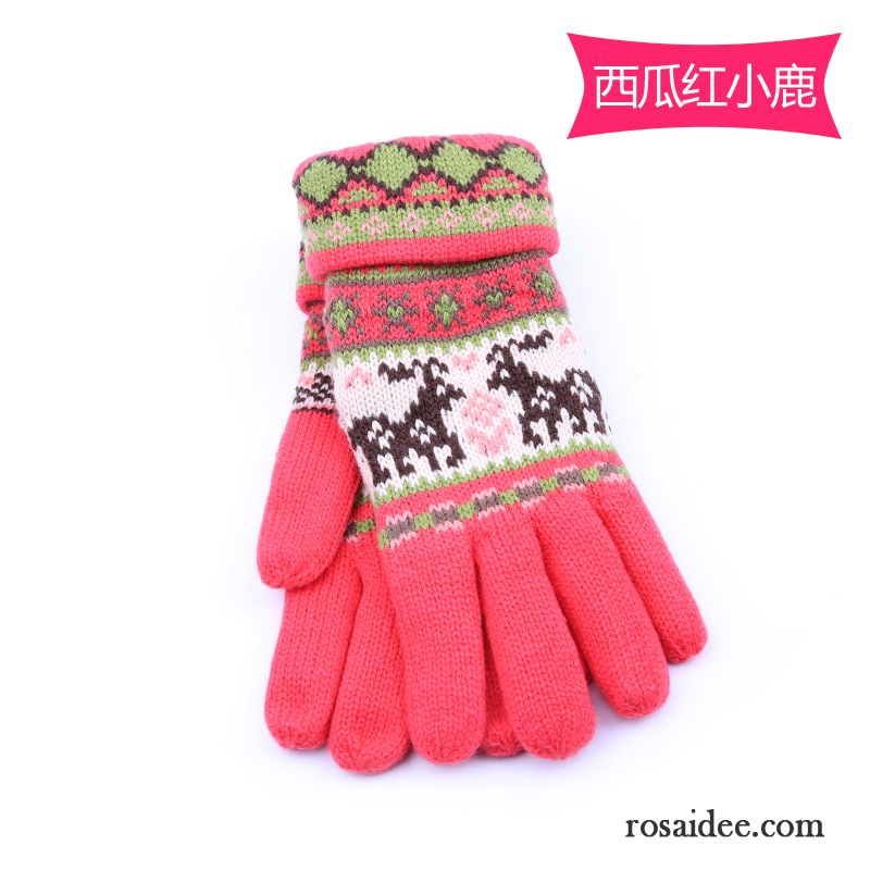 Handschuhe Damen Wolle Fünf Finger Herbst Winter Niedlich Samt Dunkelblau