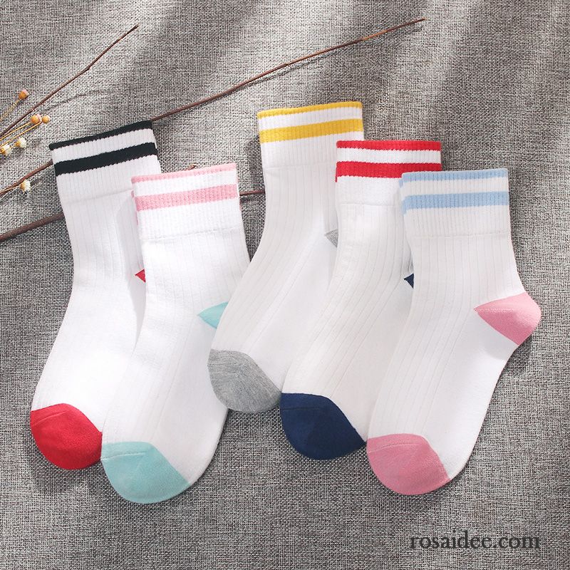 Socken Damen Vier Jahreszeiten Baumwollsocken Lange Socke Winter Trend Mid Blau