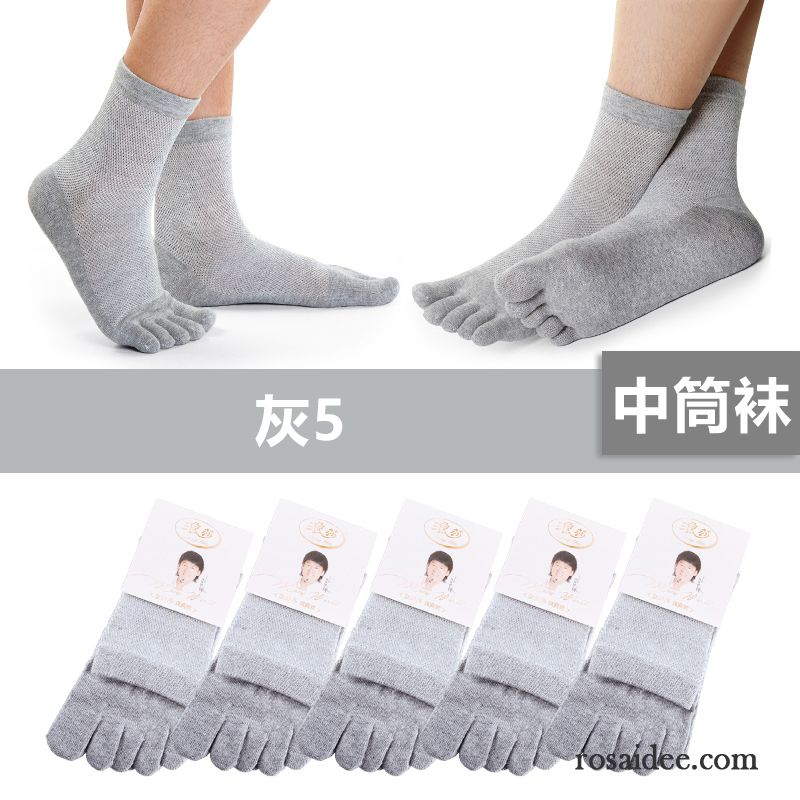 Socken Herren Baumwollsocken Vier Jahreszeiten Sport 100% Baumwolle Mid Trend Grau