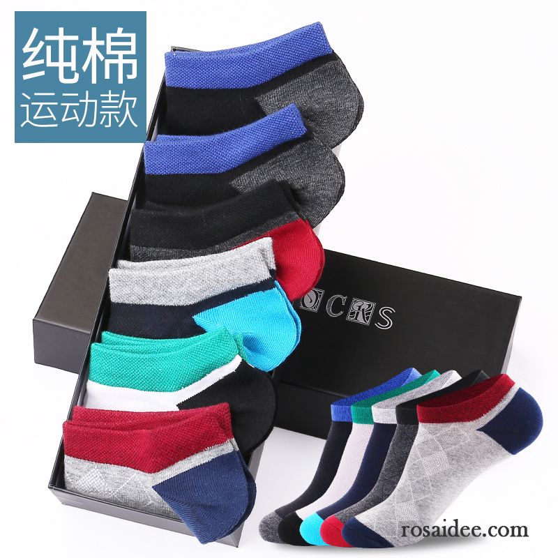 Socken Herren Trend Sport Dünne Knöchelsocken Schweiß Kurz Grau