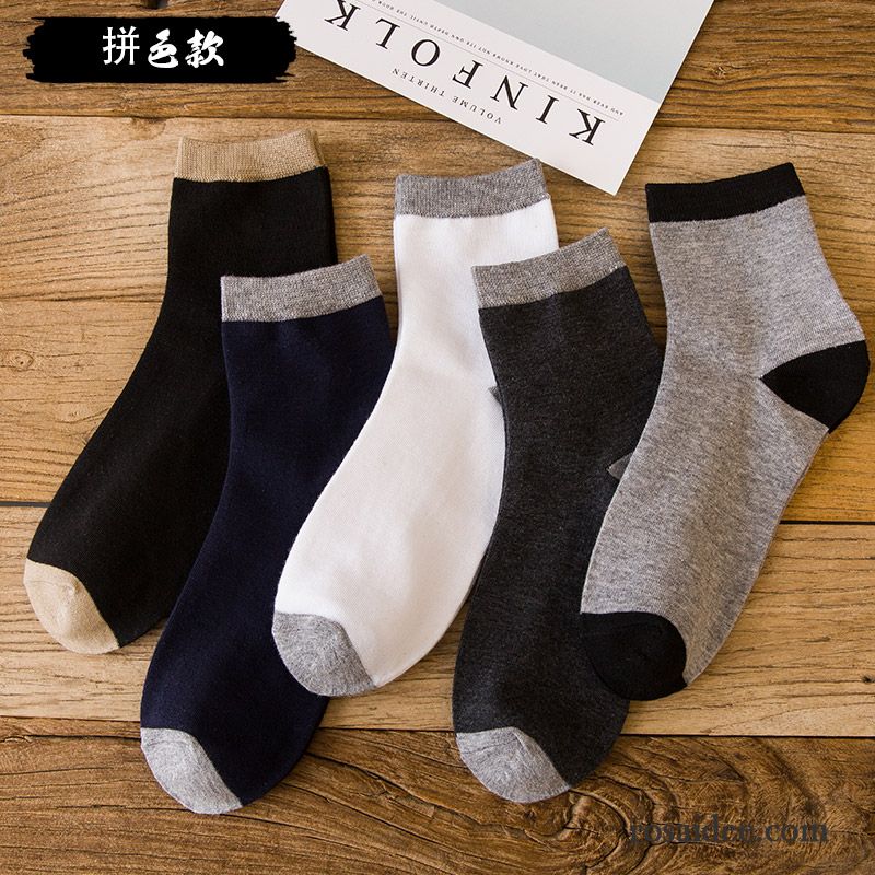 Socken Herren Vier Jahreszeiten Baumwolle Mid Schweiß Winter Herbst Blau