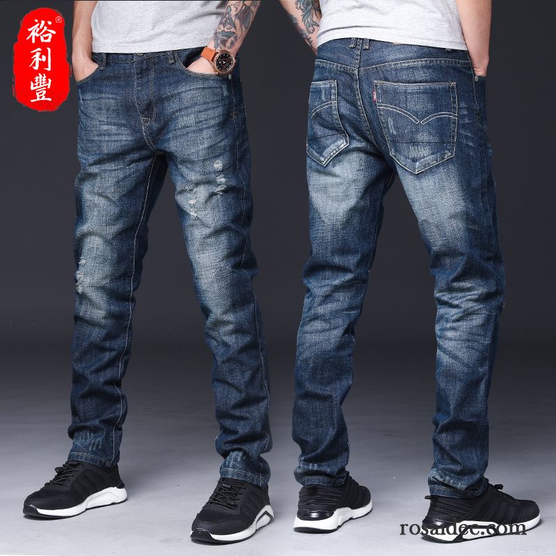 Stretch Jeans Herren Günstig Lose Trend Herbst Jugend Gerade Dunkel Blau Jeans Lange Freizeit Hose Neu Herren Große Größe