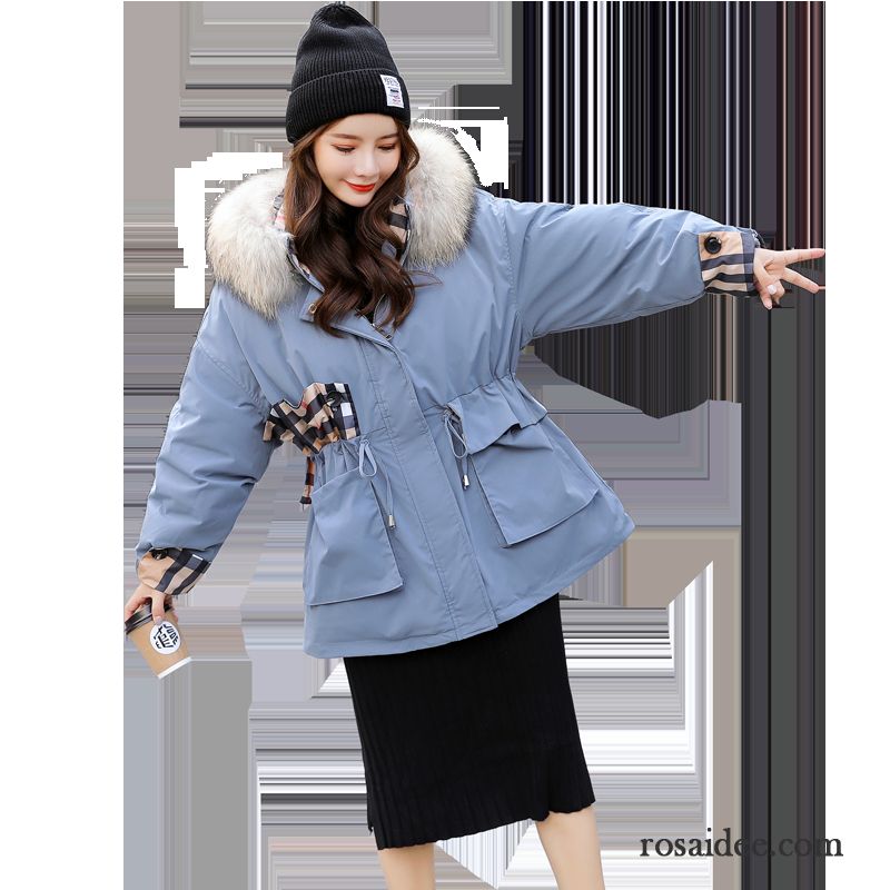 Baumwolle Mantel Damen Mit Kapuze Gemütlich Trend Mode Elegant Winter Blau