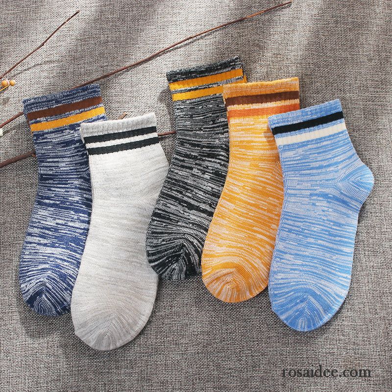 Socken Damen Vier Jahreszeiten Baumwollsocken Lange Socke Winter Trend Mid Blau